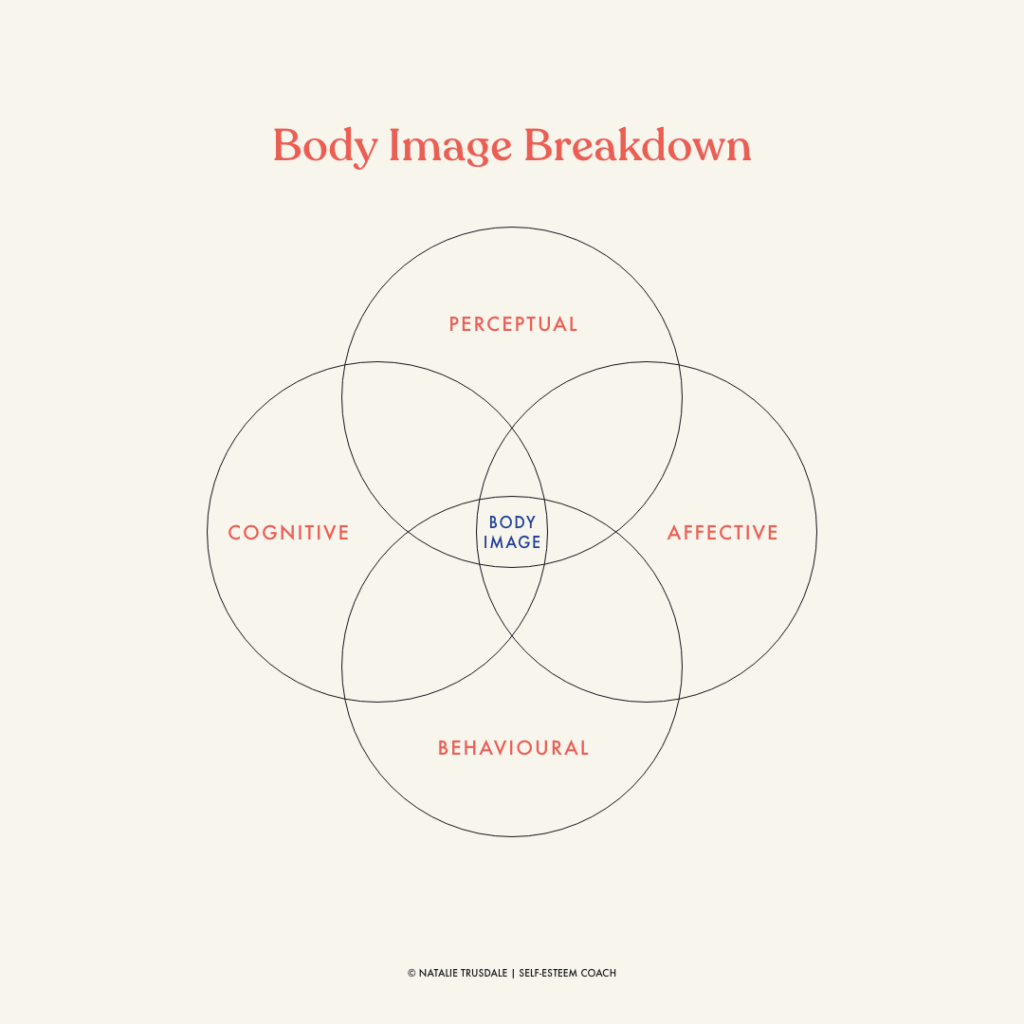 Body Image breakdown venn diagram showing the breakdown triggers. Perceptual, Affective, Cognitive, Behavioural 